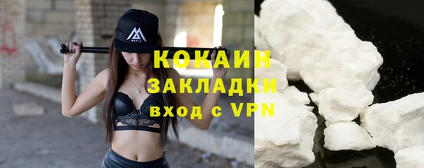 стафф Осинники
